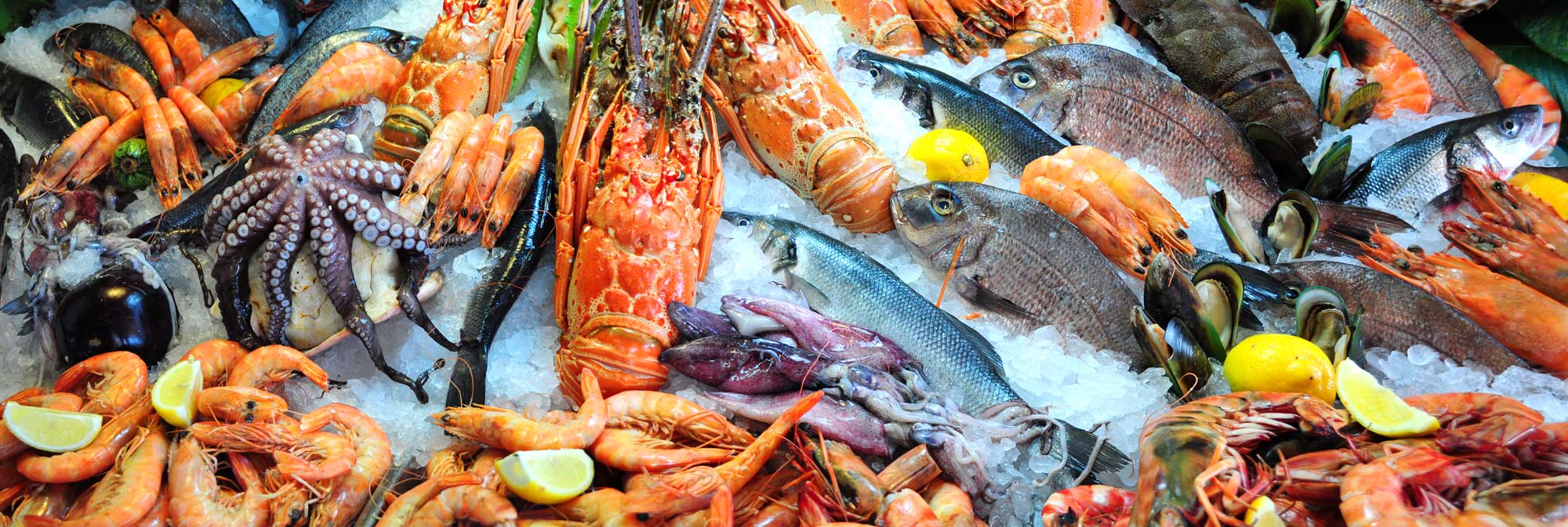 Frozen Foods Seafood Customs Clearance